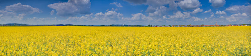 Rappsfeld