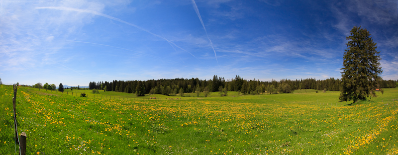 Landschaftspanorama
