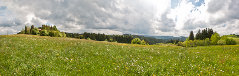 Alpenvorland