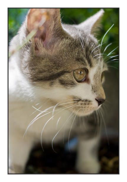 Interessierter Blick