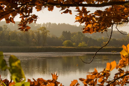 Herbstgruss