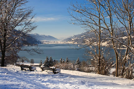 Frohe Weihnachten