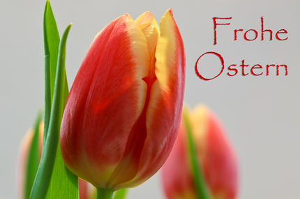 Frohe Ostern