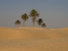 Die Sahara