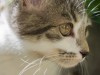 Interessierter Blick