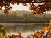 Herbstgruss