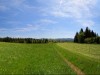 Campo, bosque y montañas ...
