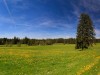 Paisaje
