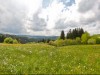 Alpenvorland